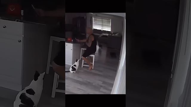 Коты это не только жидкость, но и проблемы