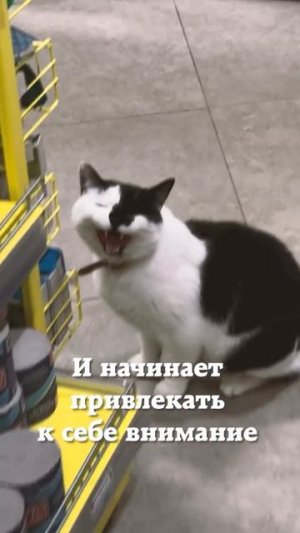VID_20250703_184455_205.mp4
