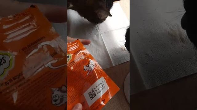 чипусики кушают