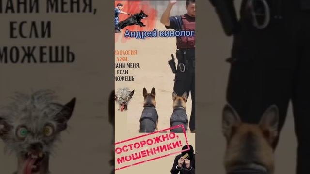 Посылки, домофоны и остальная нечесть.