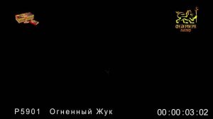 Р5901 Огненный жук