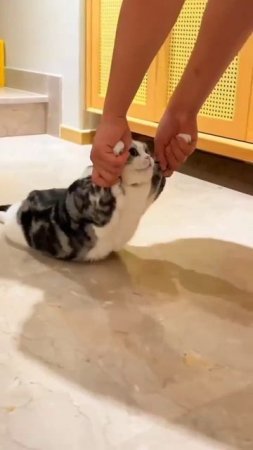 Тащи меня на кухню