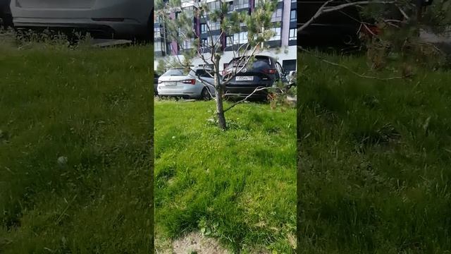 Открыла клетку, стерла метку