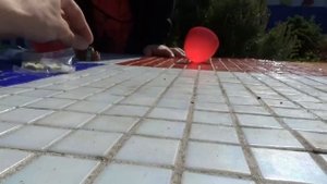 Мистер Макс • Mister Max - ВЛОГ в океанариуме Киев