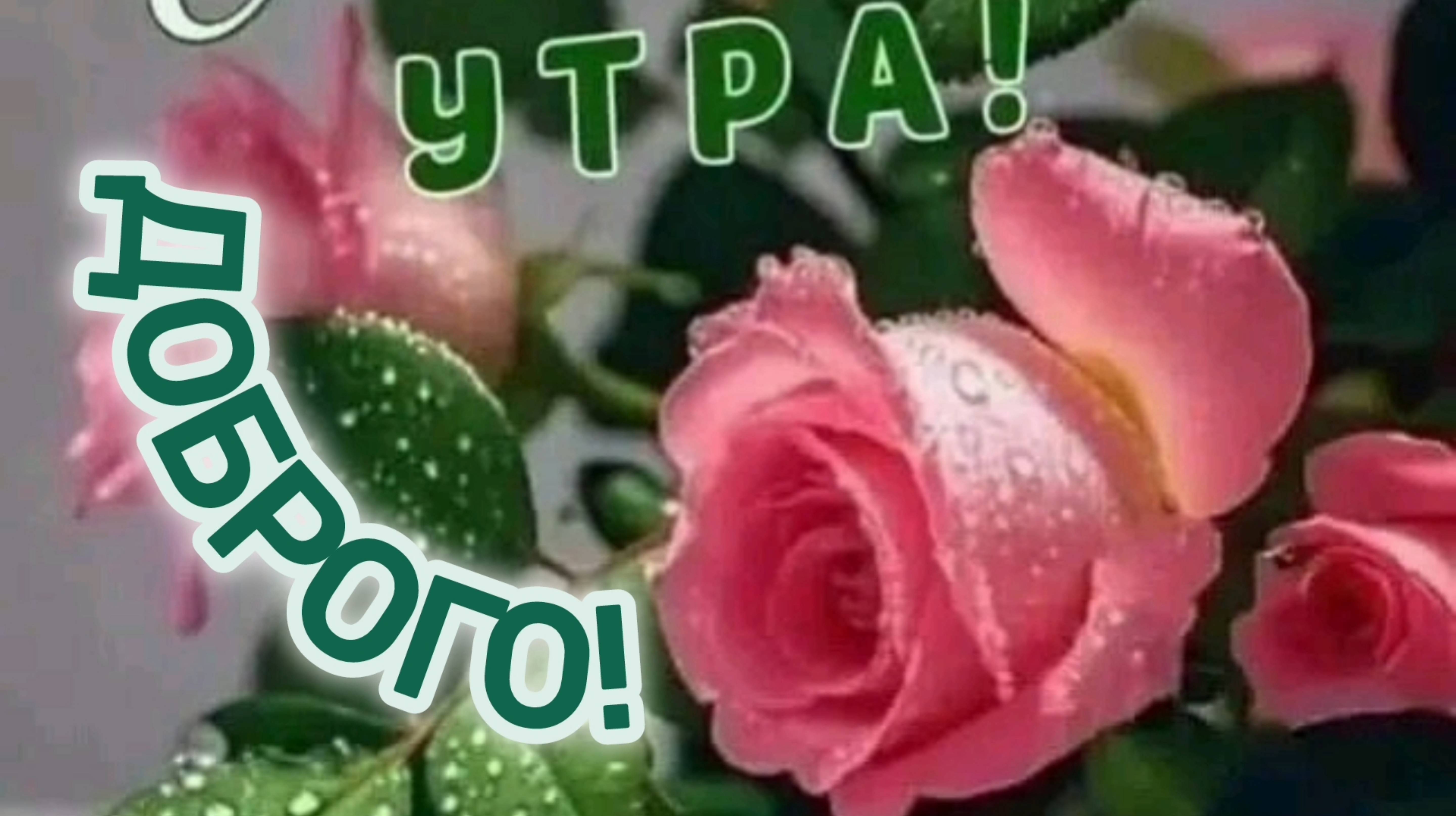 ТЁПЛОЕ УТРО ДЛЯ САМОГО ДОРОГОГО ЧЕЛОВЕКА 💏💞💘