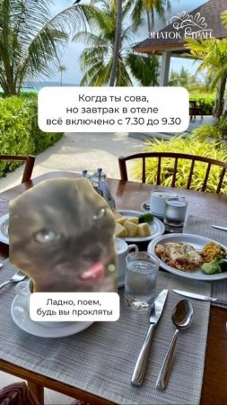 Когда ты сова, но «всё включено» не ждёт… 🥲