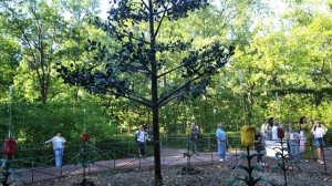 Петергоф, нижний парк. Шутихи и дети