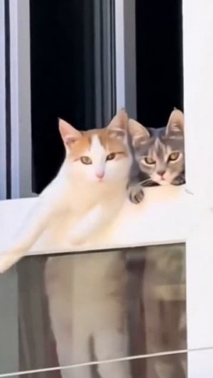 Сладкие конфетки
