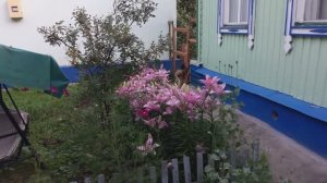 Жизнь в деревне - Хроника дня