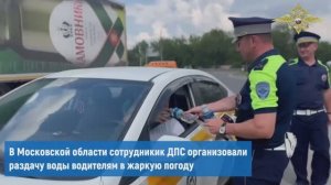 Сегодня профессиональный праздник у сотрудников Госавтоинспекции МВД России.