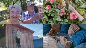 ПОЕХАЛИ В ГОРОД НИ ЗА ЧЕМ. ЧТО ДЕЛАТЬ С ОСИНЫМ ГНЕЗДОМ.