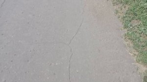 и на рыб заводах и на овощебазах поставить роботов...всё.