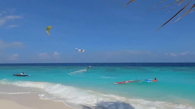 Дело в тело смотреть онлайн