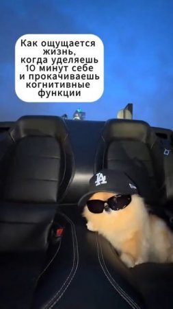 😙А ты не забыл прокачать свой мозг?