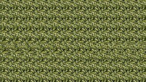 Офисный релакс без слов: стереограммы + chill музыка • Визуальный перерыв