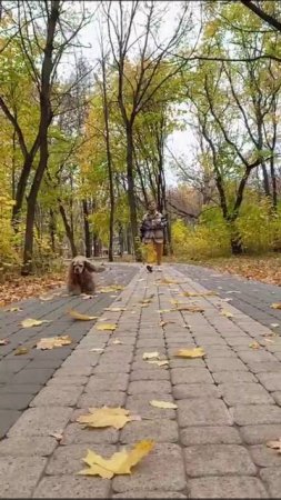 Родислав Фоменков 4В, Осенний БИТ