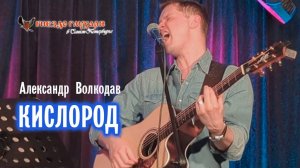 "КИСЛОРОД" Александр Волкодав - "Гнездо глухаря" Питер 28.06.2025 #александрволкодав #голос #концерт
