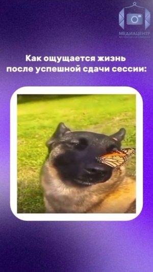 Привет, студенты!