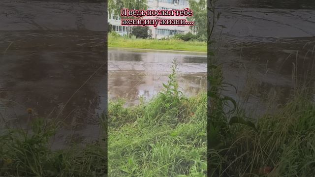 1000005222.mp4