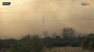 В Измире продолжают бороться с крупными лесными пожарами