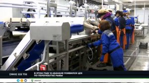 Линия дефростации, филетирования, замораживания и глазирования рыбы в Абакане