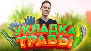 Ландшафт за 3 дня: подготовка, грунт и газон || Правильная укладка рулонного газона в Подмосковье