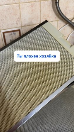 Ты плохая хозяйка