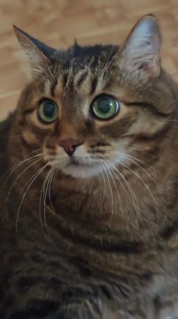 Сказать пришел 🤔🙀😉👍🚀👇