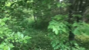 Земельный участок в Лысьве🌿