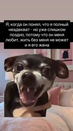 без меня жить не может