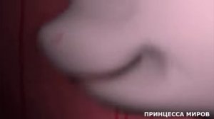 дин дон my little pony