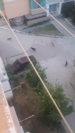 КАПИТОШКА ДЕТСТВА