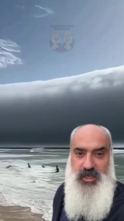 ⚡️Грозовой воротник?