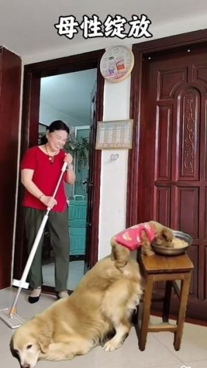 Приколы животные и не только