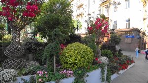 ЛЕТО В МОСКВЕ!