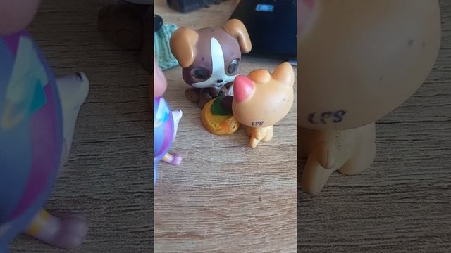Курицу поджорили