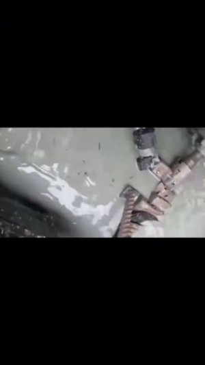 TG: nexpertGM А тем временем атмосфера в Питере! #shorts #независимыйэксперт #георгиймедведев