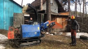 Ветки в Истоке