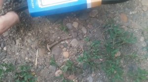 VID_20250704_152332.mp4