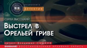 выстрел в Орельей гриве - Сергей ВЫСОЦКИЙ (читает Владимир СУШКОВ) | ДЕТЕКТИВ аудиокниги слушать