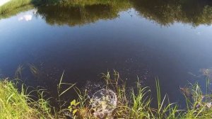 Эта речка радует поклёвками.Ловля на блесну Вертушку. Рыбалка на лугах