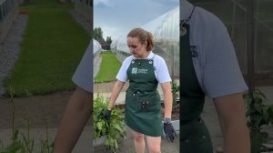 КАЛИЙ БЕЗ ХИМИИ