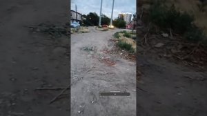 Прямая трансляция fishing и мы !