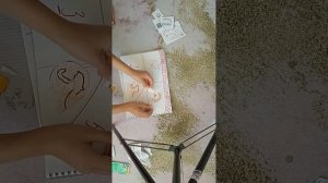 коллекция наклеек.