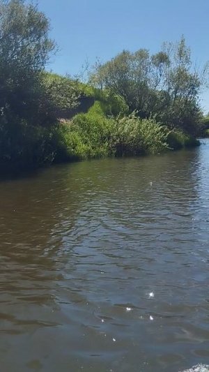 Рекя вопь.сплав