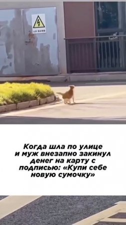 закинул денег