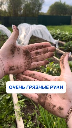 Огород дело такое