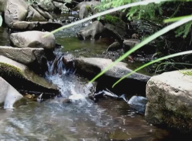 Поход в Мерешор смотреть онлайн
