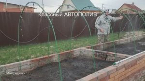 АВТОПОЛИВ Положительный опыт высокая грядка Лето 2025