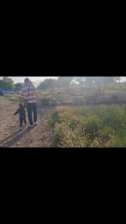 #семья #дети #буднимногодетнойсемьи #буднимногодеточки #путешествие